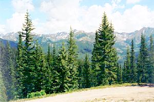 View from the Mill Creek trail