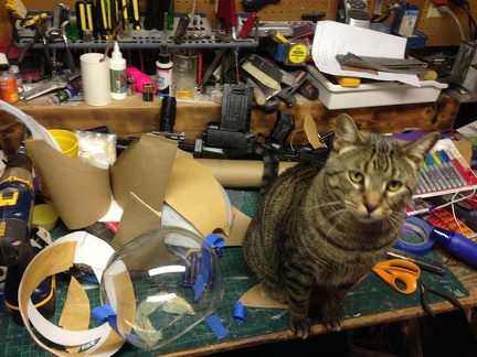 Cats make good supervisors