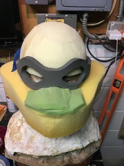 Shaping the Head